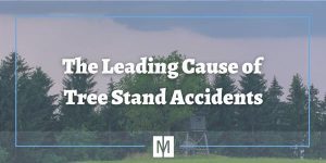 Tree Stand Accidents