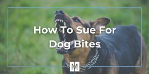 sue for dog bites in kansas and missouri